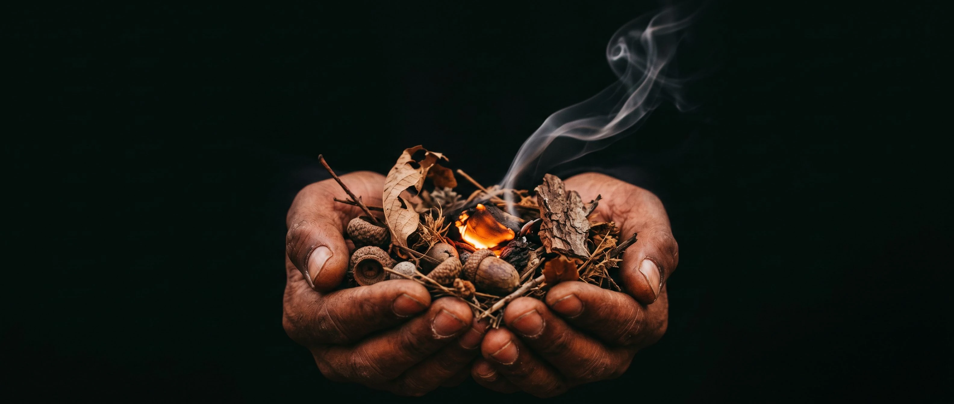 Two dark hands cradling glowing foraged botanicals and embers, fire light raking across skin and leaf against a near-black field